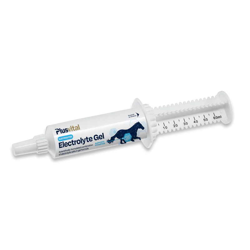 Electrolyte Gel